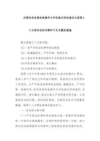 对照有形有感有效铸牢中华民族共同体意识方面等 5 个方面存在的问题和不足及整改措施