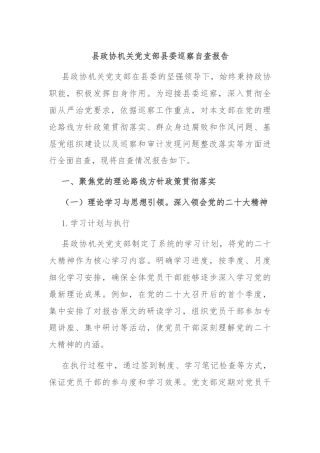 县政协机关党支部县委巡察自查报告