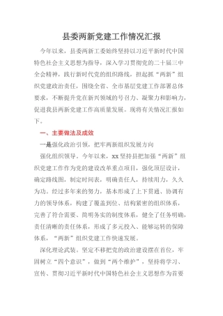 县委两新党建工作情况汇报