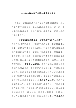 2025年乡镇年轻干部队伍建设经验交流