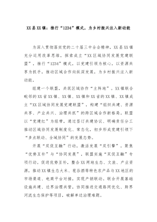XX县XX镇：推行“1234”模式，为乡村振兴注入新动能