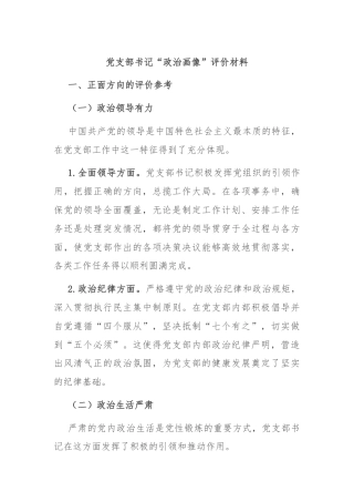 党支部书记“政治画像”评价材料