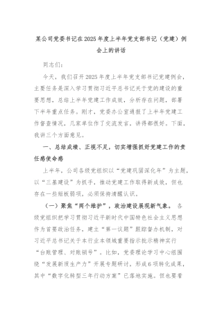 某公司党委书记在2025年度上半年党支部书记（党建）例会上的讲话
