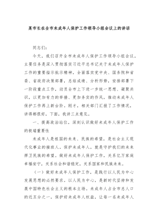 某市长在全市未成年人保护工作领导小组会议上的讲话