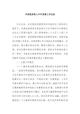 市委统战部上半年党建工作总结