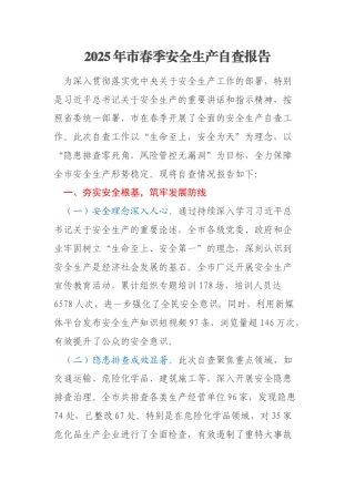 2025年市春季安全生产自查报告