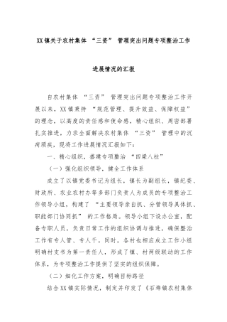 XX镇关于农村集体 “三资” 管理突出问题专项整治工作进展情况的汇报