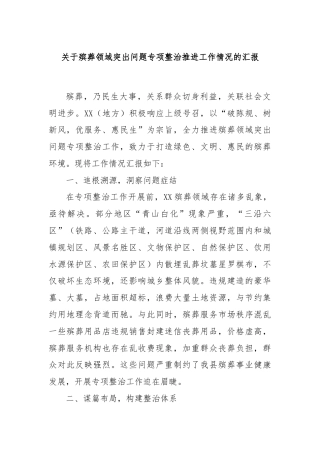 关于殡葬领域突出问题专项整治推进工作情况的汇报