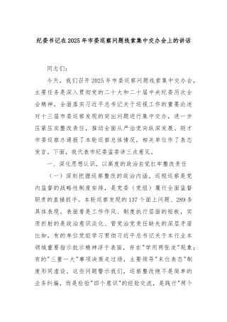 纪委书记在2025年市委巡察问题线索集中交办会上的讲话