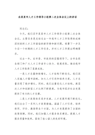 在某某市人才工作领导小组第二次全体会议上的讲话