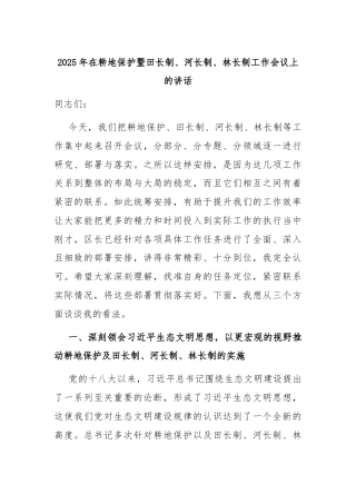 2025年在耕地保护暨田长制、河长制、林长制工作会议上的讲话