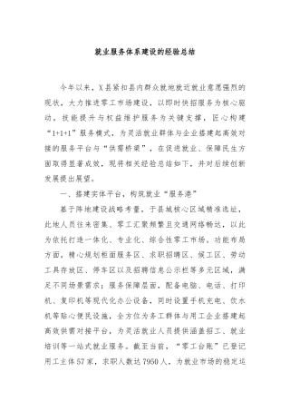 就业服务体系建设的经验总结