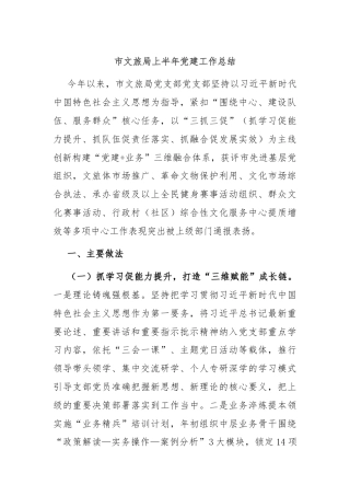 市文旅局上半年党建工作总结