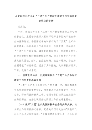 县委副书记在全县“三夏”生产暨秸秆禁烧工作安排部署会议上的讲话