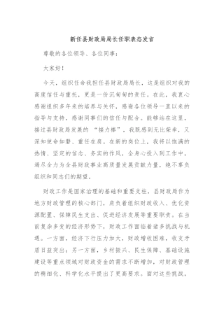 新任县财政局局长任职表态发言