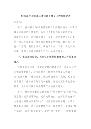 在2025年局巡察工作问题反馈会上的总结讲话