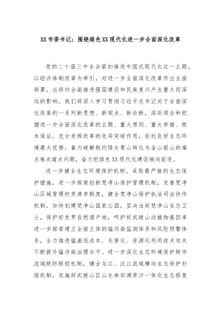 XX市委书记：围绕绿色XX现代化进一步全面深化改革