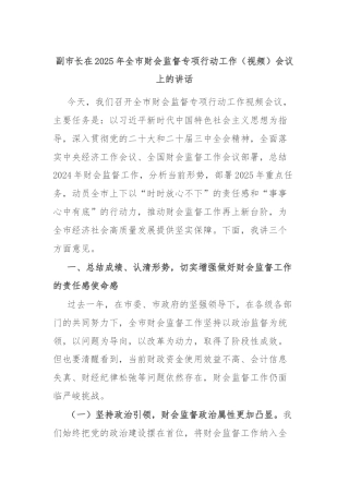 副市长在2025年全市财会监督专项行动工作（视频）会议上的讲话