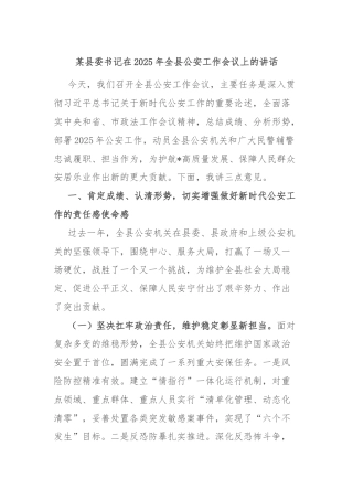 某县委书记在2025年全县公安工作会议上的讲话