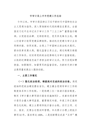 市审计局上半年党建工作总结