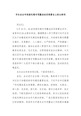 市长在全市违规吃喝专项整治动员部署会上的主持词