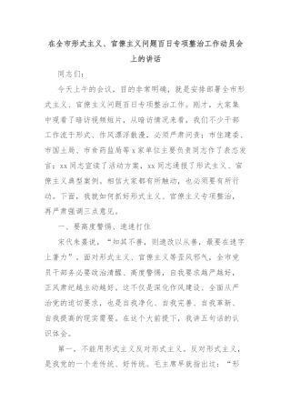 在全市形式主义、官僚主义问题百日专项整治工作动员会上的讲话