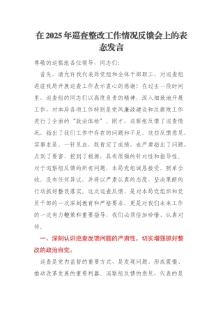 在2025年巡查整改工作情况反馈会上的表态发言