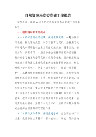 自然资源局党委党建工作报告