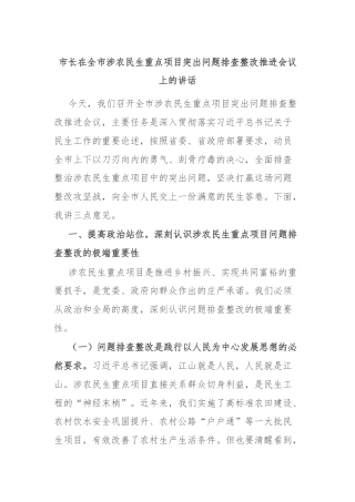 市长在全市涉农民生重点项目突出问题排查整改推进会议上的讲话