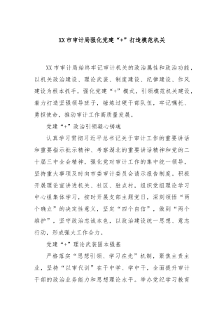 XX市审计局强化党建“+”打造模范机关