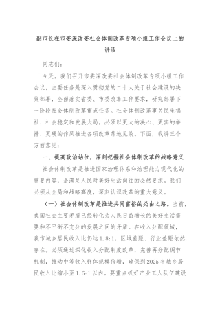 副市长在市委深改委社会体制改革专项小组工作会议上的讲话