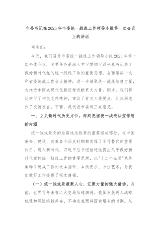 市委书记在2025年市委统一战线工作领导小组第一次会议上的讲话