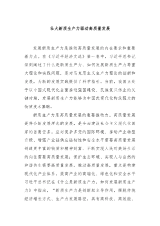 壮大新质生产力驱动高质量发展