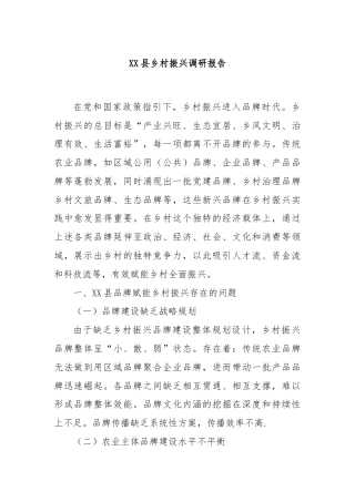 XX县乡村振兴调研报告