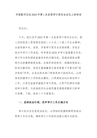 市委副书记在2025年第1次县委审计委员会会议上的讲话