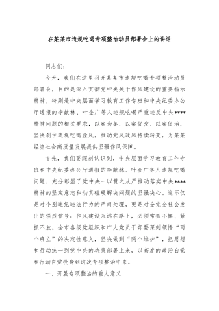 在某某市违规吃喝专项整治动员部署会上的讲话