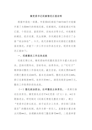 镇党委书记巡察情况汇报材料
