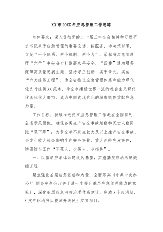 XX市20XX年应急管理工作思路