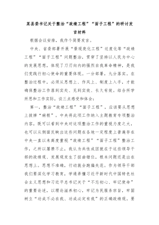 某县委书记关于整治“政绩工程”“面子工程”的研讨发言材料