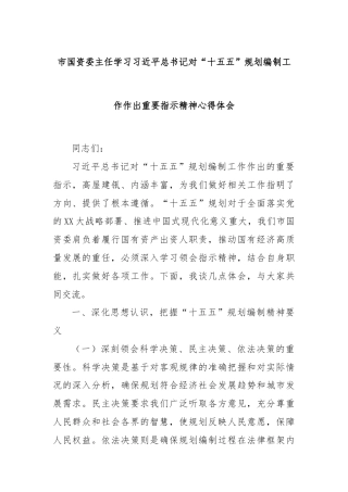 市国资委主任学习习近平总书记对“十五五”规划编制工作作出重要指示精神心得体会