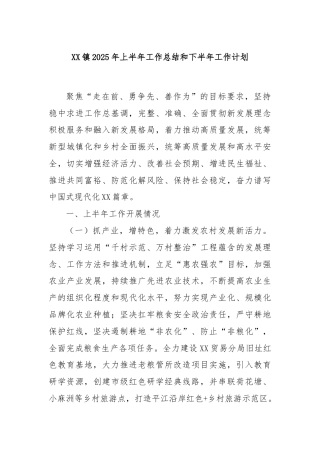 XX镇2025年上半年工作总结和下半年工作计划