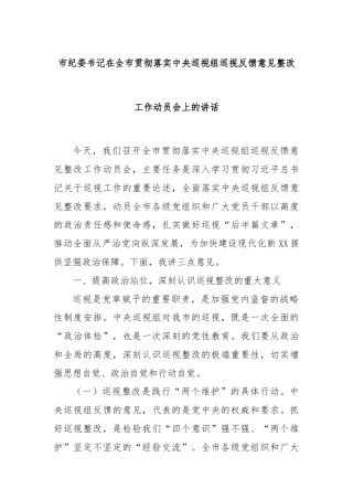 市纪委书记在全市贯彻落实中央巡视组巡视反馈意见整改工作动员会上的讲话