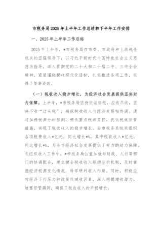 市税务局2025年上半年工作总结和下半年工作安排