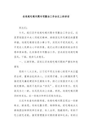 在违规吃喝问题专项整治工作会议上的讲话