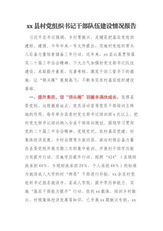 xx县村党组织书记干部队伍建设情况报告