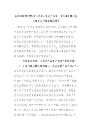 县委组织部2025年上半年全面从严治党、党风廉政建设和反腐败工作落实情况报告