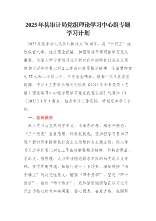 2025年县审计局党组理论学习中心组专题学习计划