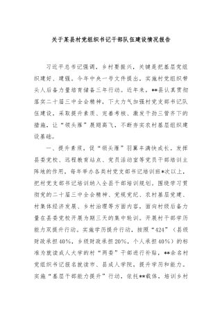 关于某县村党组织书记干部队伍建设情况报告
