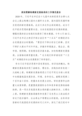 深刻理解构建新发展格局的工作情况报告