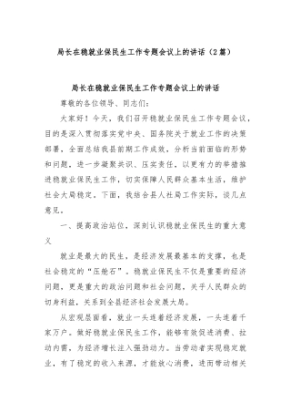 (2篇)局长在稳就业保民生工作专题会议上的讲话